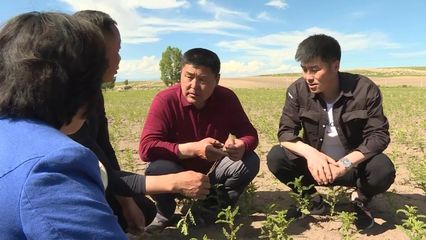 【壮丽70年 奋斗新时代】发展特色种植 提高土地产出效益